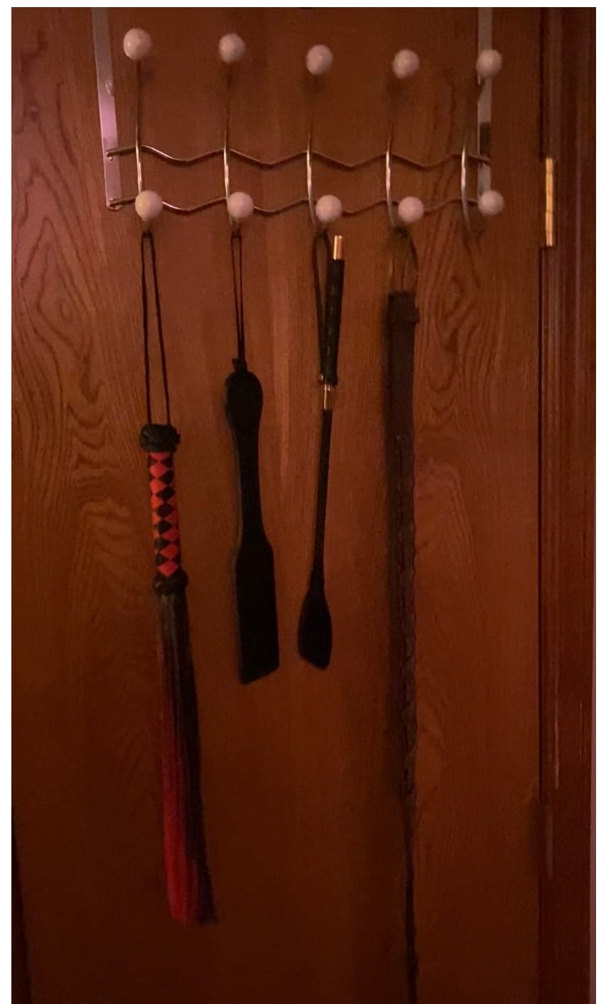 Customer photo review of 8 Tail Braided Flogger