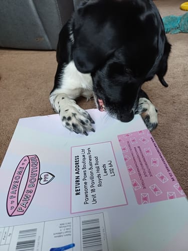 undefined review of Shipping Protection image 1 out of 4