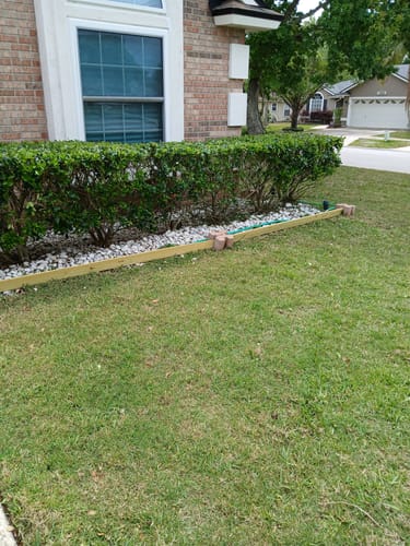 Customer lawn results photo - Elm Dirt organic lawn fertilizer