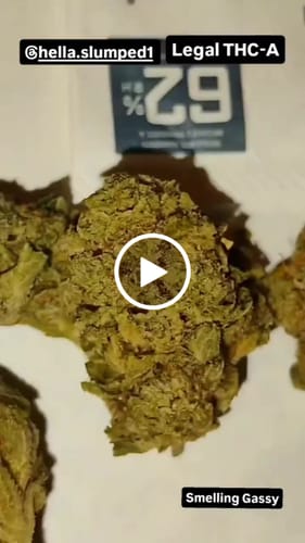 Customer video review of Biscotti