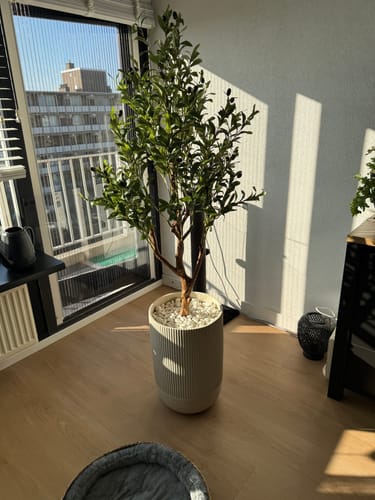 Customer photo review of Kunst Olijfboom 150cm