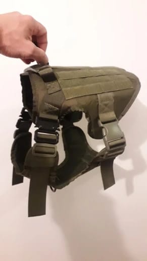 Customer photo review of Military Large Dog Tactical Harness Training Pet Vest