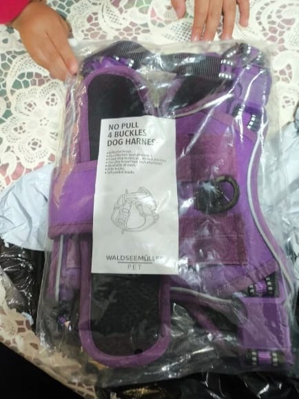 Customer photo review of Tactical Adjustable Breathable Dog Harness for Medium Large Dog