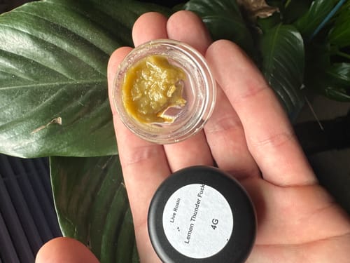 Customer photo review of Lemon Thunder Fuck