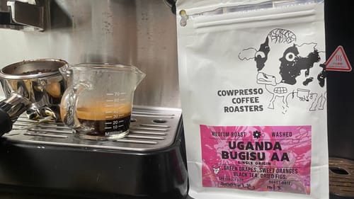 Customer photo review of Uganda Bugisu AA