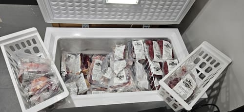 Customer photo review of Quarter Cow (Deposit)