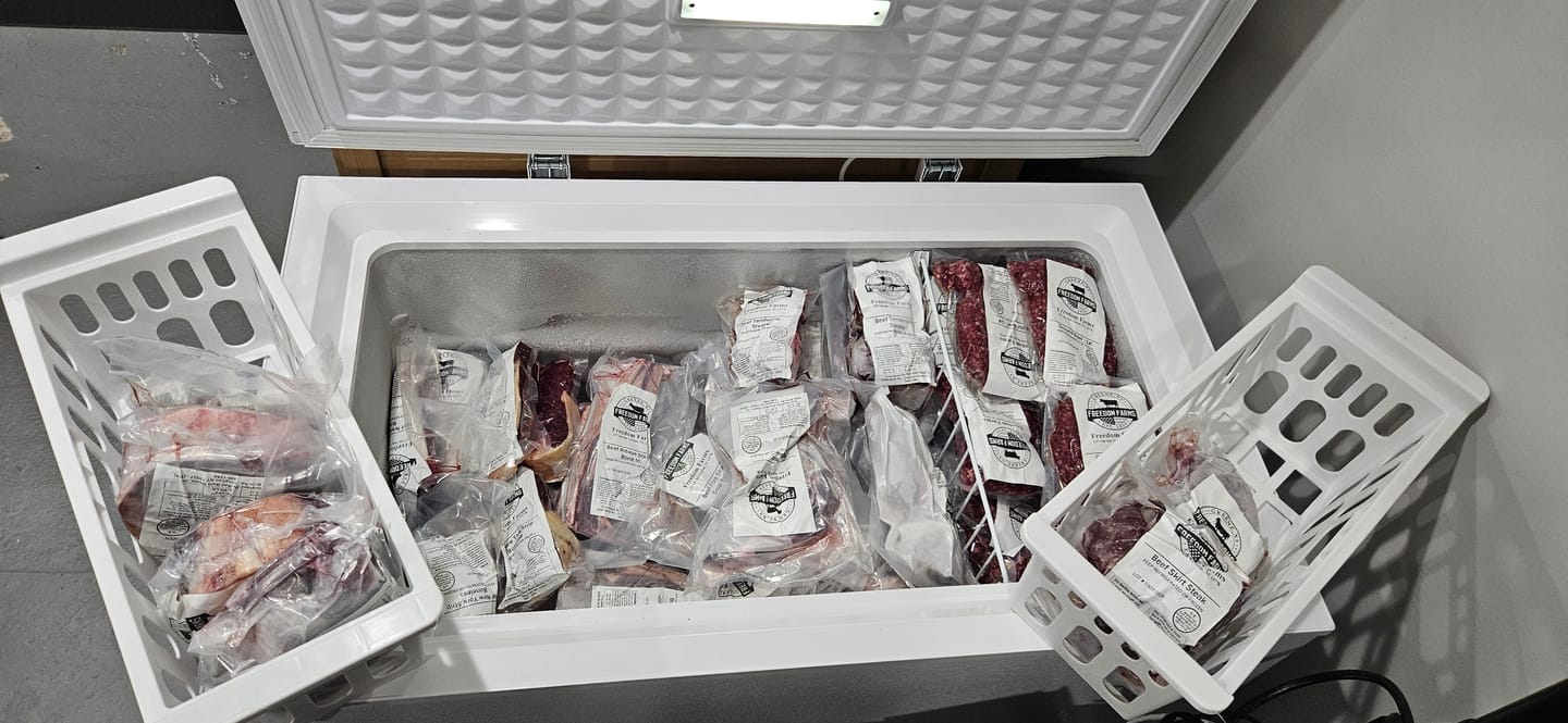 Customer photo review of Quarter Cow (Deposit)