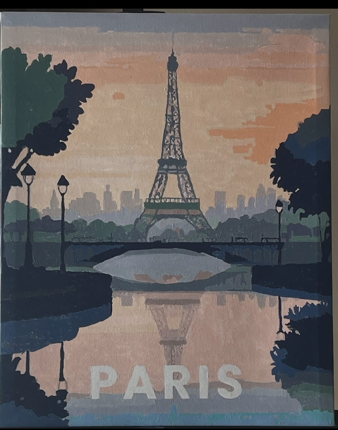 Customer photo review of Paris