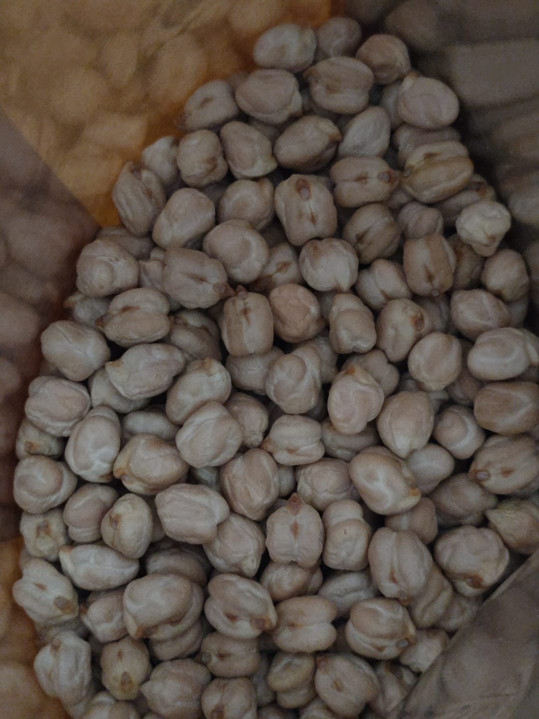 Customer photo review of Organic Chickpeas