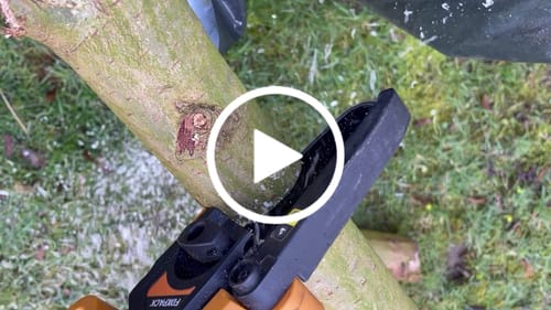 Customer video review of Replacement Chain - for the 12V One-Hand Chainsaw - Nexxsaw Limited Edition