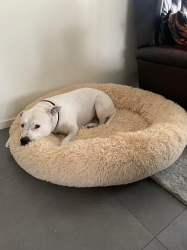 Customer photo review of CalmBed - Motverkar stress & hjälper mot ångest