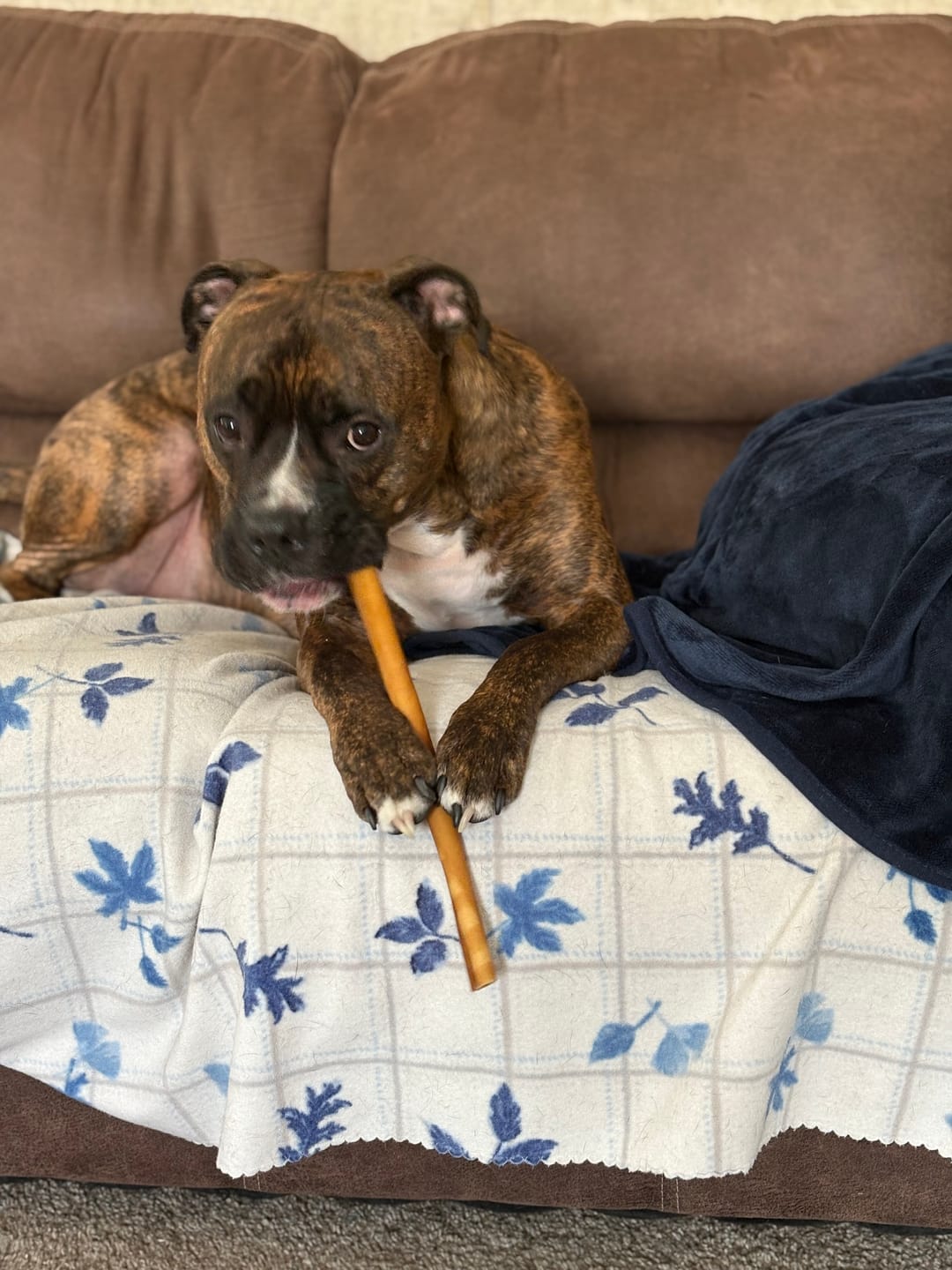 Customer photo review of Smoked Beef Marrow Bones
