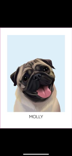 Customer photo review of Realistisch Portret