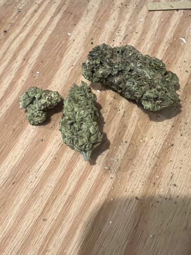 Customer photo review of Fire OG - 28 Grams - Indica