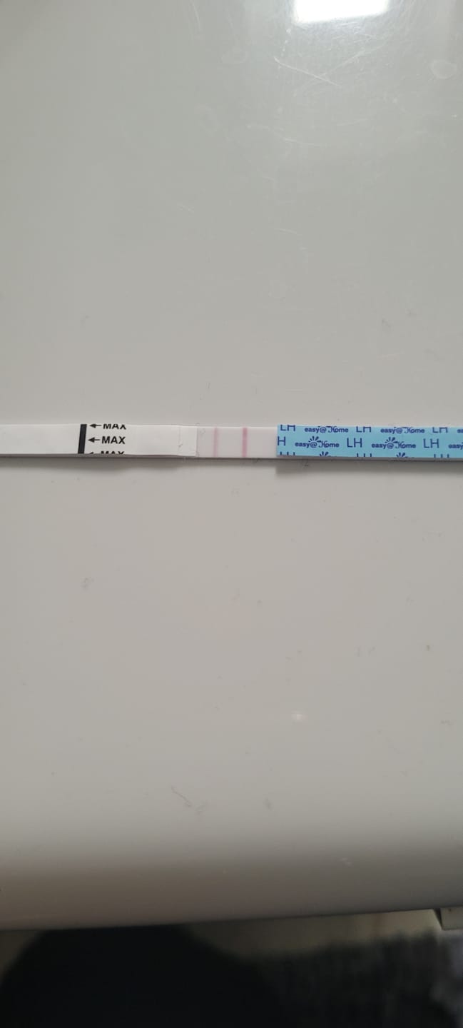 Customer photo review of Fertility Supplement