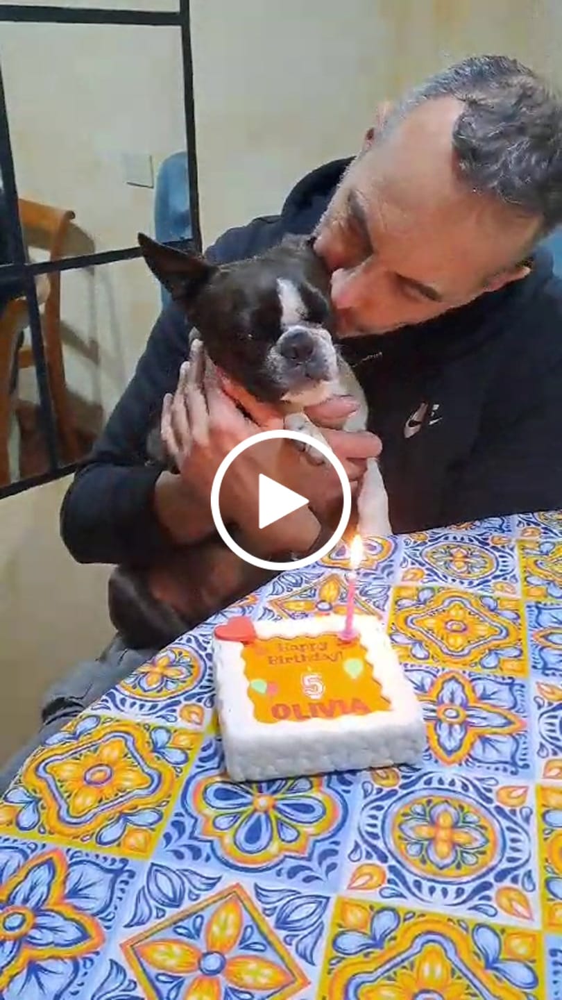 Customer video review of Torta Per Cani Happy Birthday Personalizzabile Con NOME E ANNI