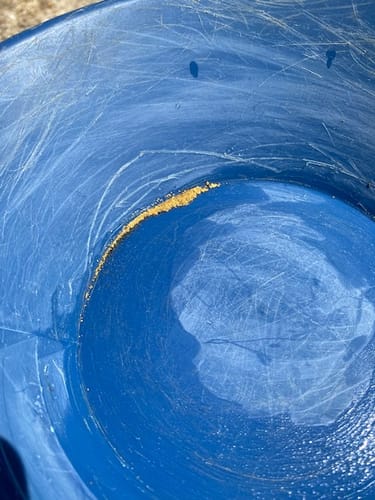 Customer photo review of Kiwi Gold Pay Dirt