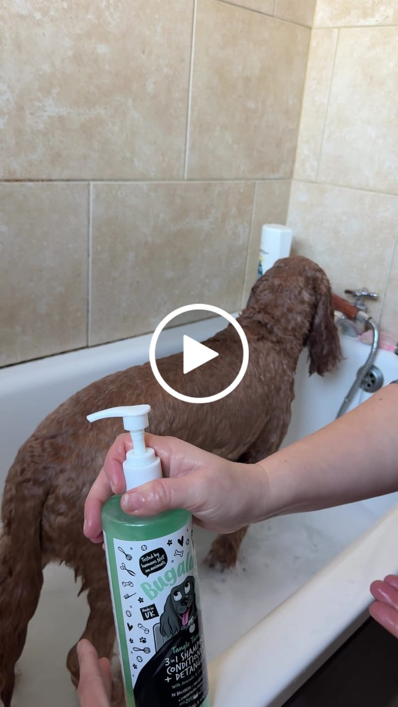 Customer video review of 3 in 1 Tangle Tame Dog Shampoo, Conditioner & Detangler