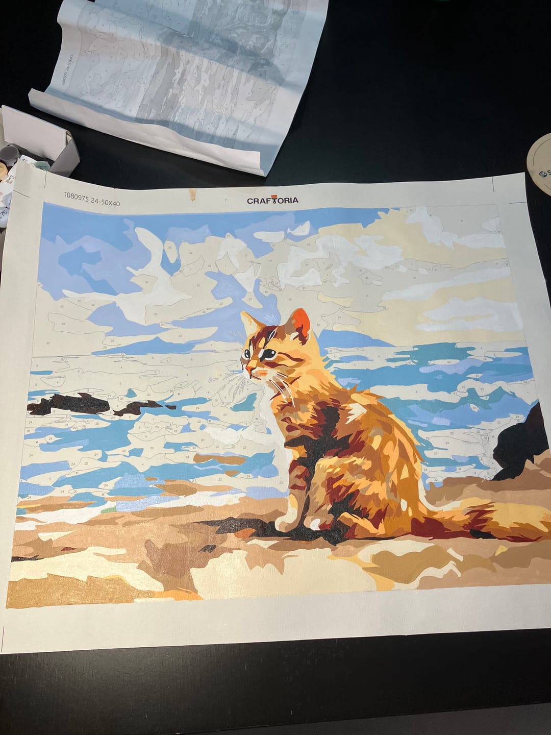 Customer photo review of Beach Kitten