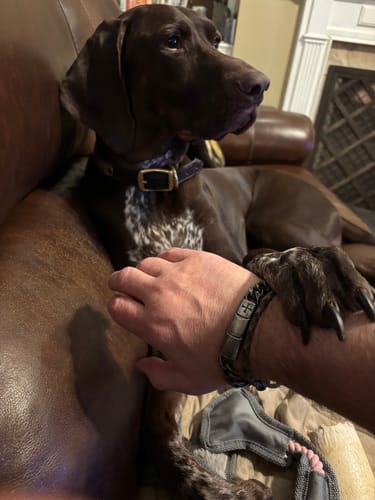 Customer photo review of The Knights Templar - Never Retreat Never Surrender Bracelet: Helps Pair Veterans With A Service Dog Or Shelter Dog