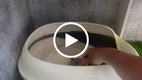 Customer video review of 3 Month Supply - 3 Cat