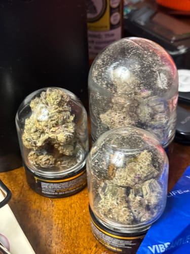 Customer photo review of Gold Spectrum THCA Flower (Exotic) - Gas Face