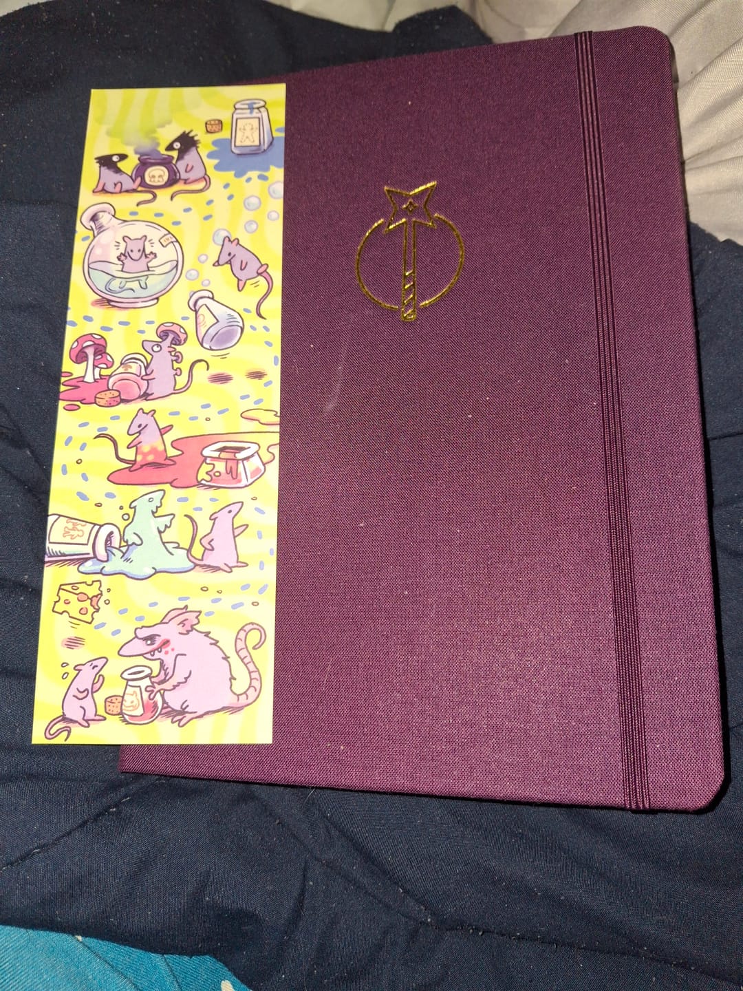 Customer photo review of Istoria Magic Academy