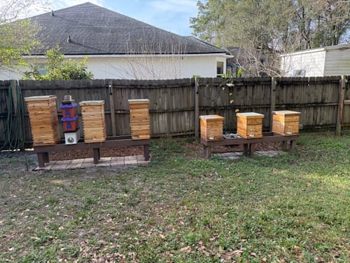 Customer photo review of BeeCastle Hives 10 Frame 2 Layer Screened Bottom Board Wax Coat Beehive Kit with 1 Deep Bee Box,1 Honey Super Bee Box, Wooden Frames and Beeswax-Plastic Foundation for Optimal Ventilation and Productive Beekeeping