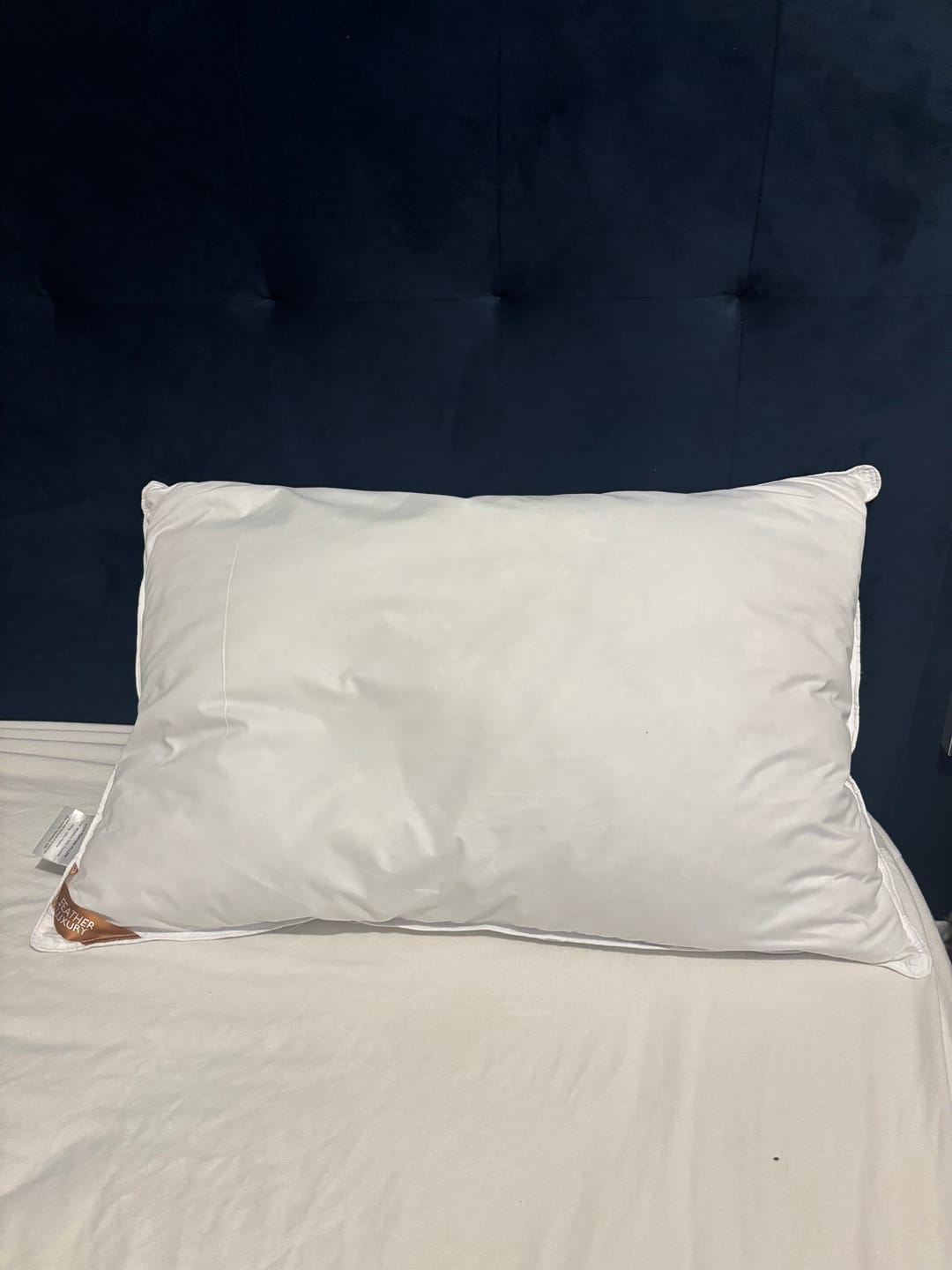 Customer photo review of Duck Feather Pillow