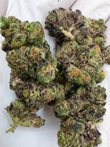 Customer photo review of Dealer's Choice