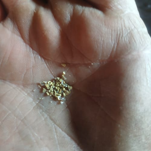 Customer photo review of Nugget Reserve 'MUSEUM SPECIMEN CHASE' - Gold Panning Paydirt Concentrate
