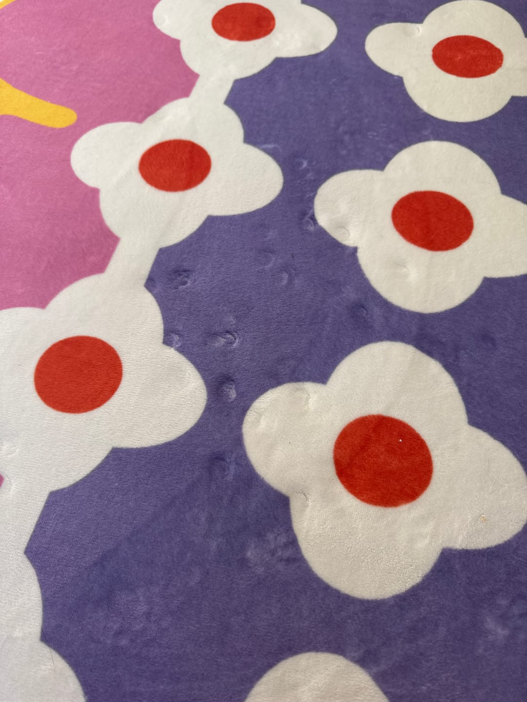 Customer photo review of Pink and Purple Floral Area Rug