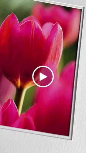 Customer video review of 8x10 Giclee Fine Art Prints