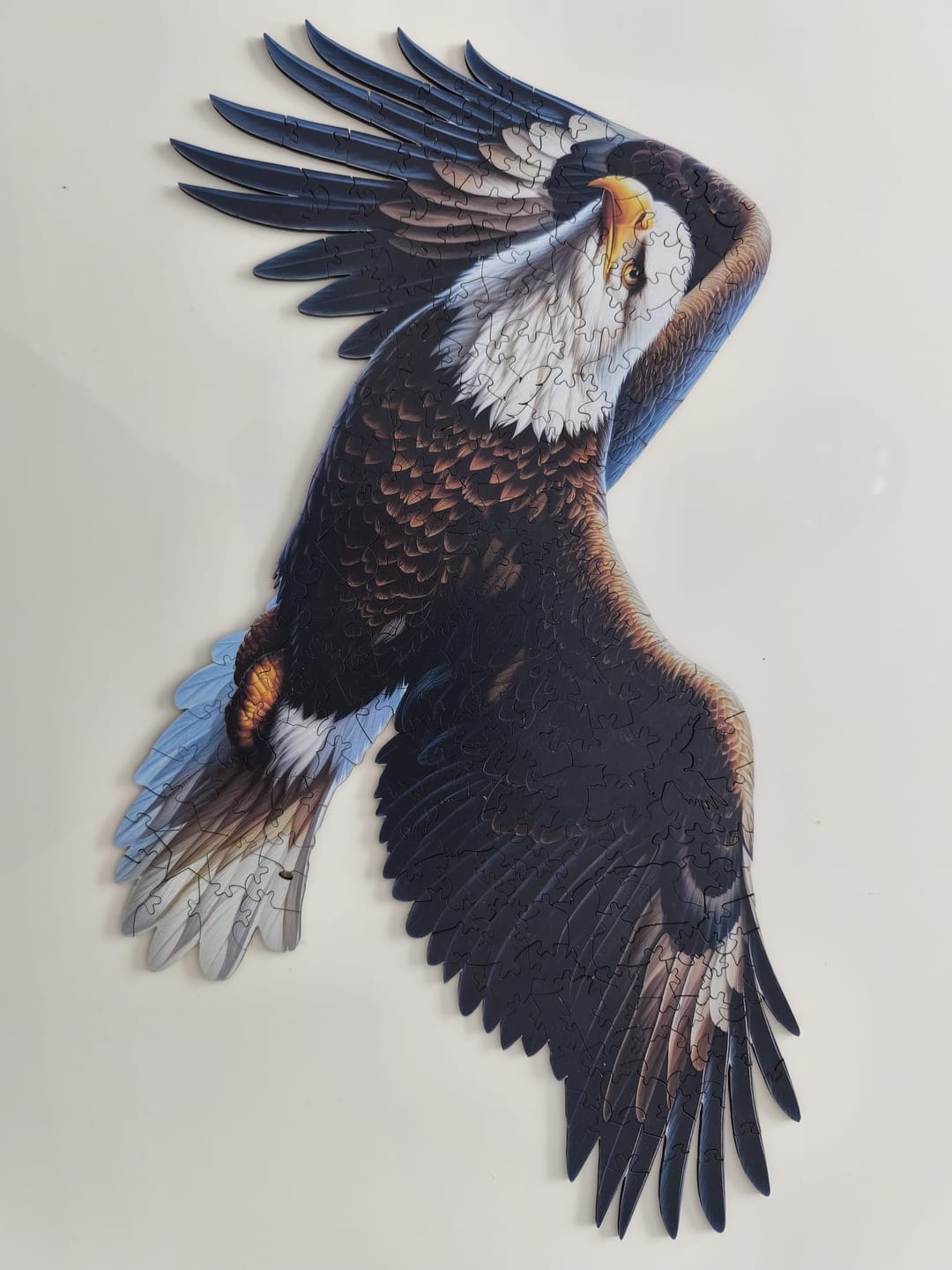 Customer photo review of Kartal - Ahşap Puzzle