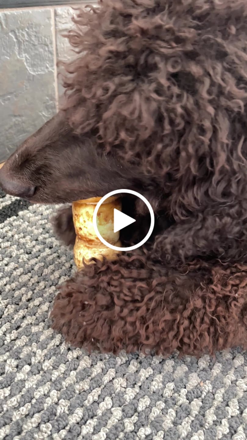 Customer video review of 5-6 Inch Peanut Butter Cheek Roll