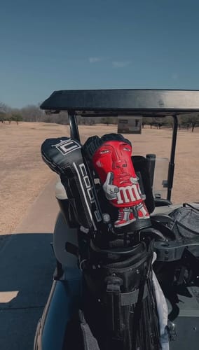 Customer photo review of Emineminem Headcover