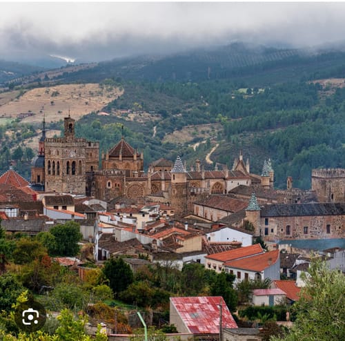 Customer photo review of Fertibono Abono Plantas: Fertilizante Natural con NPK, 750 ml, Hierro, Boro, Zinc y Más - Enriquecido con Algas y Materia Orgánica - Ideal para Verde Intenso en Interior y Exterior