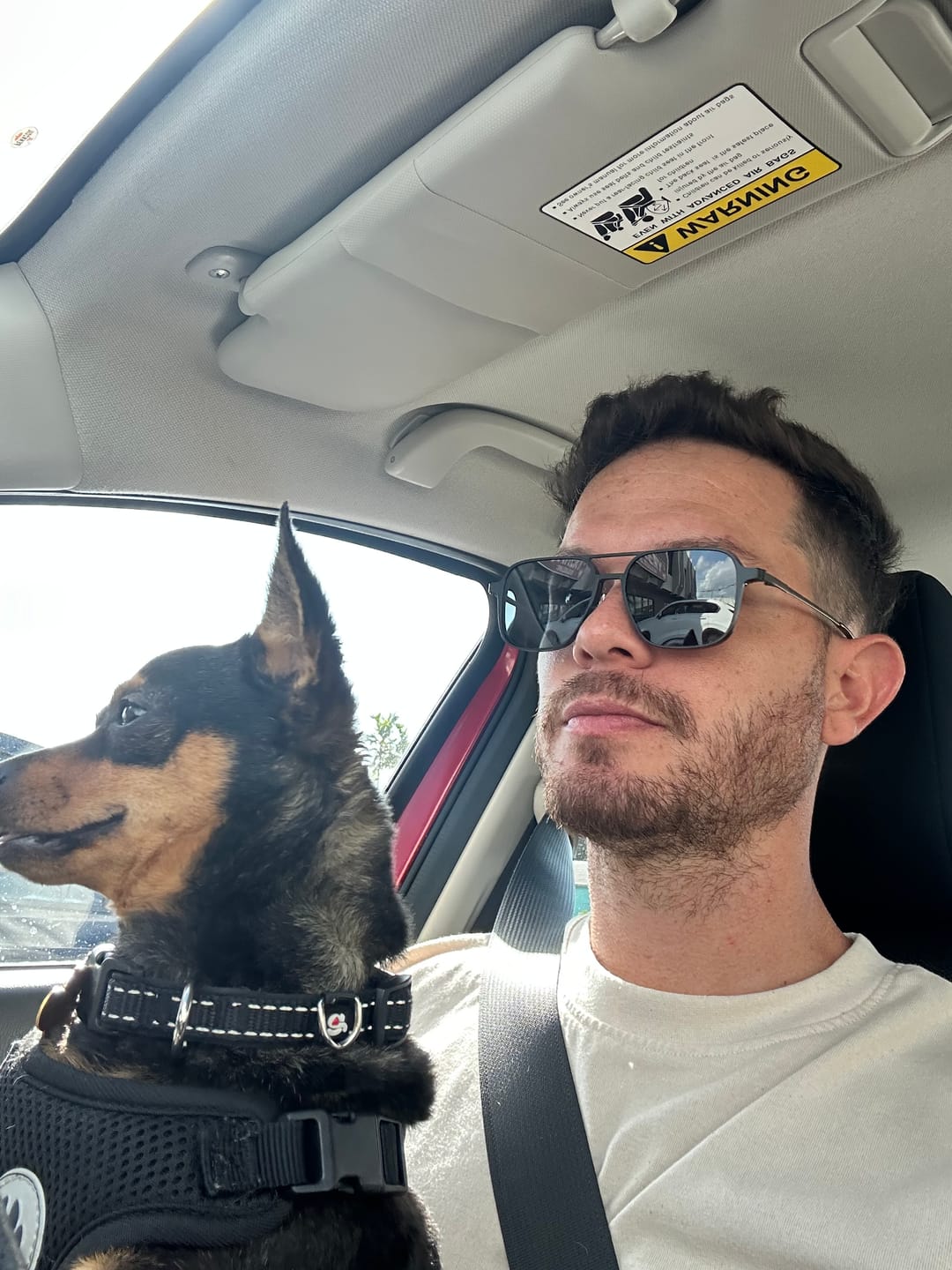 Customer photo review of Arnold | Magnetic Clip-on Eyeglasses Sunglasses | ZanyLen Best Sellers