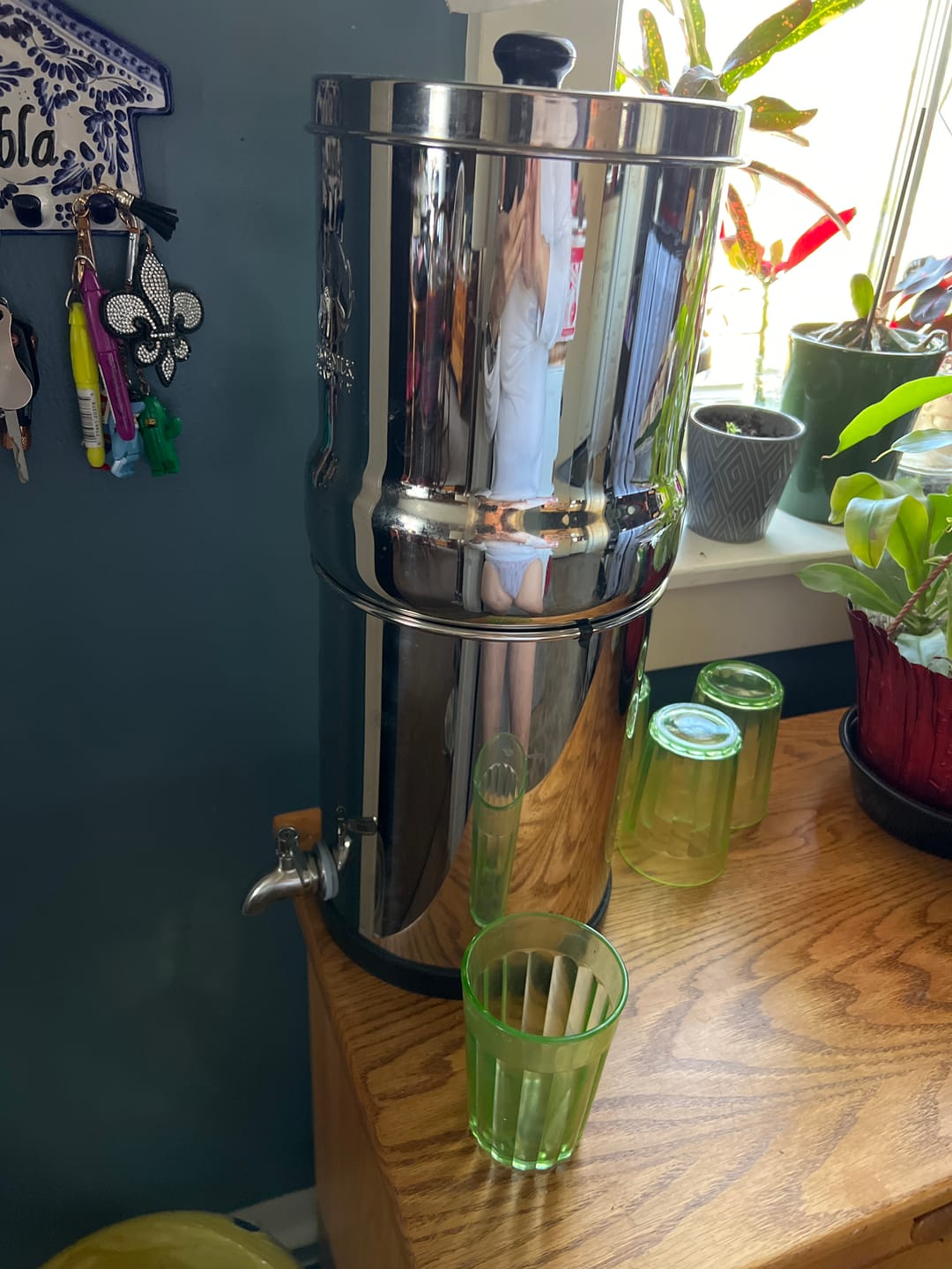 Customer photo review of 2.25G Gravity-fed Water Filter System, Stainless-Steel System with 2 Filters