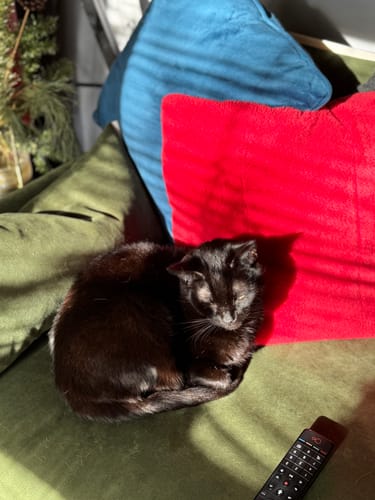 Customer photo from Angela Bartram's review
