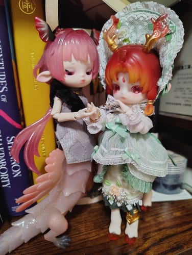 Customer photo review of Adou-Loong Fantasia Series Action Figure BJD Blind Box