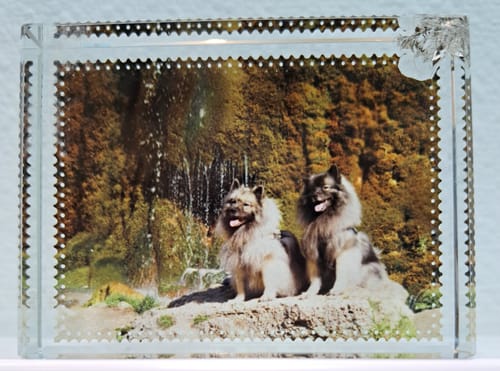 Customer photo review of Foto Kristal 8x6cm voor sublimatie