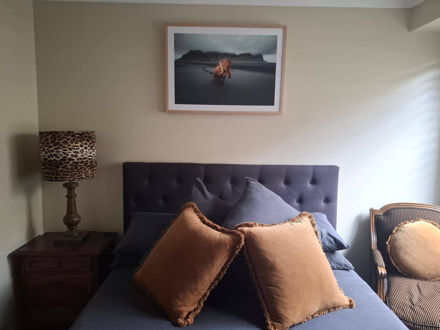 Customer photo review of Icelandic Horse II
