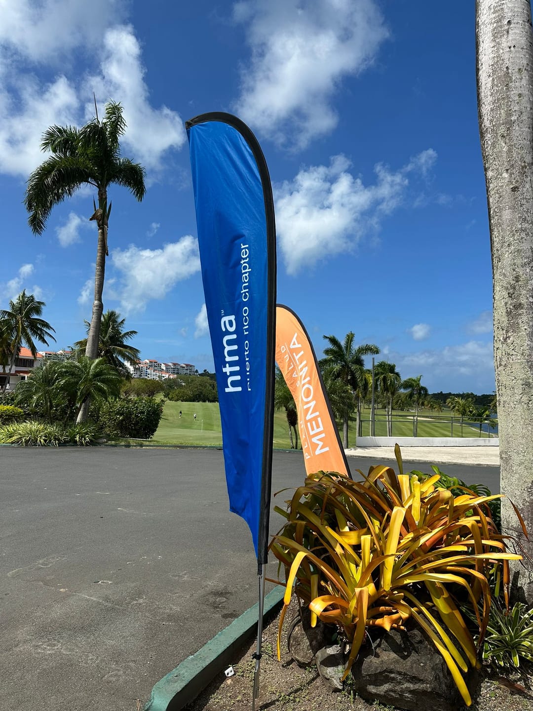 Customer photo review of Premium Concave Flags