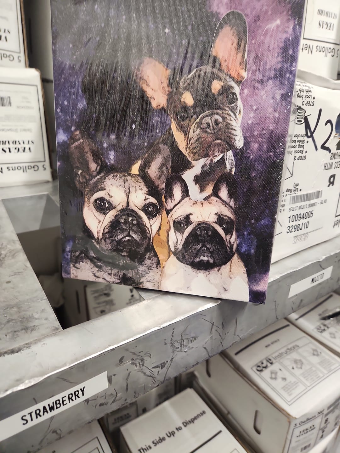 Customer photo review of Custom Pet Art Canvas Wrap