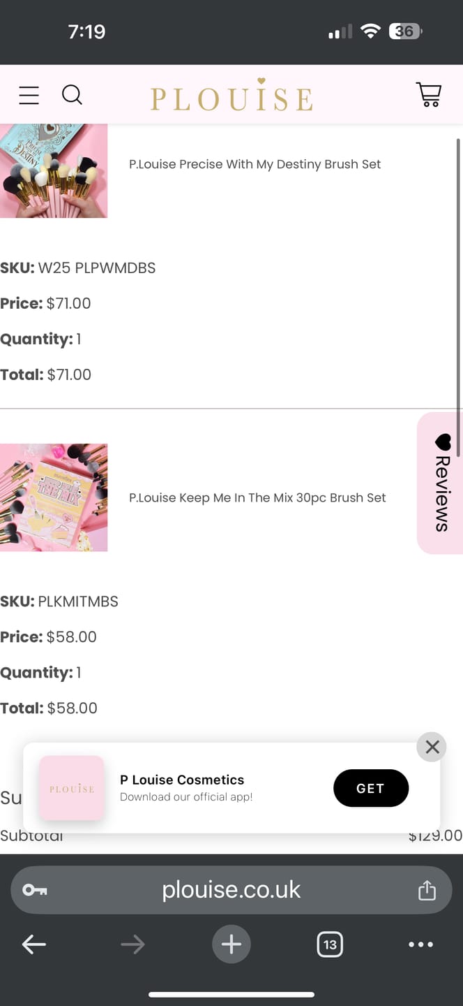 Customer photo review of P. Louise 20 Piece Makeup Brush Bundle