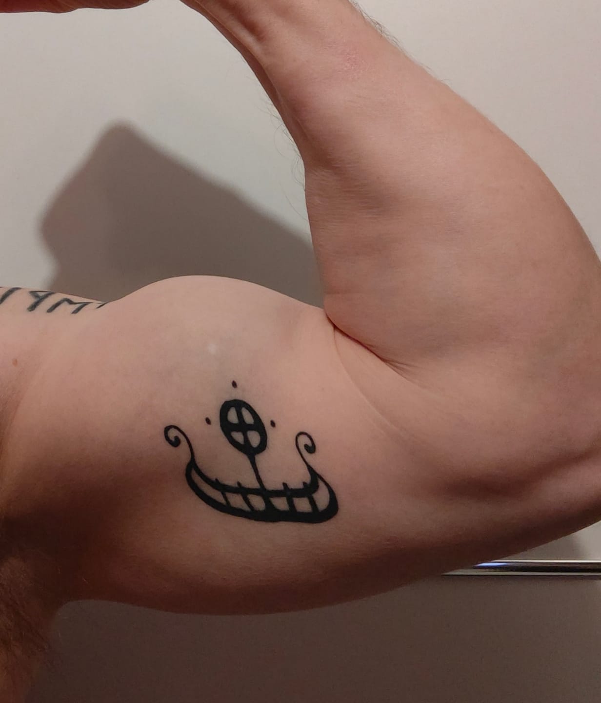 Customer photo review of Elite Repair Protein Powder