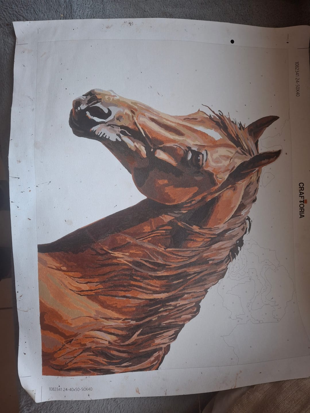 Customer photo review of Natural Brown Equine