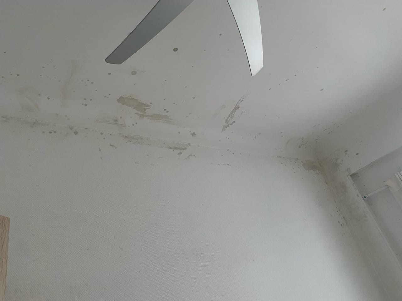 Opinión con foto del cliente sobre VAVIN