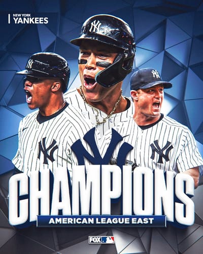 Customer photo review of Shipping Protection